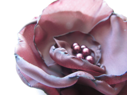 Black Forest Rose®..Kolekce Odrůdy růží... — foto 3