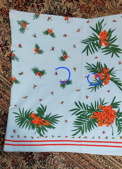 Ubrus s bobulemi — foto 5