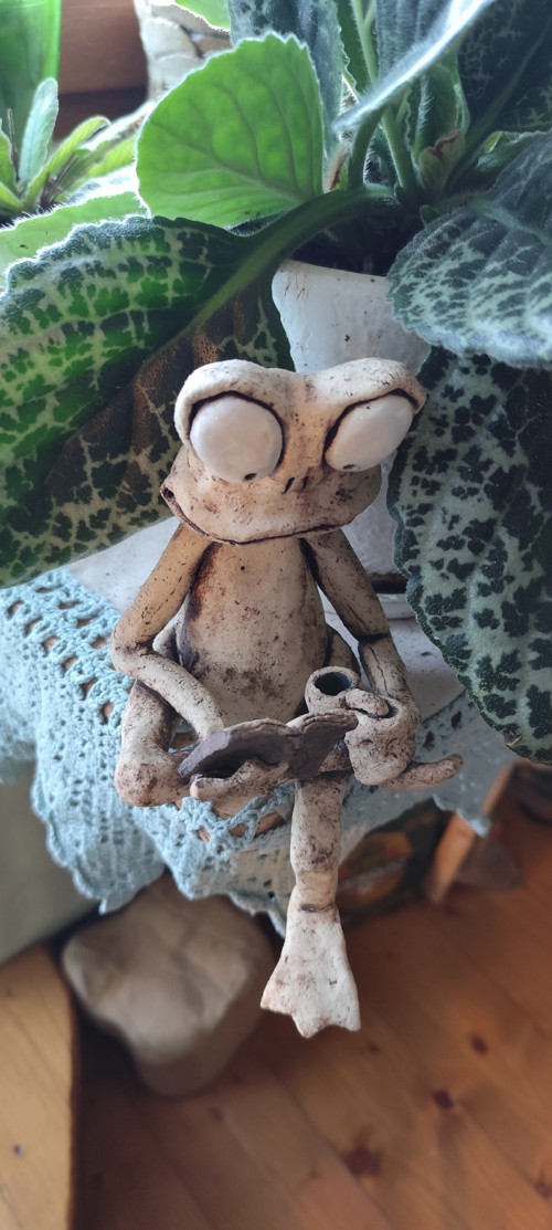Žabák čtenář — foto 3