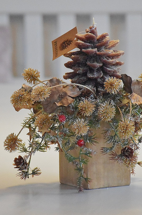 Pinecone — foto 3
