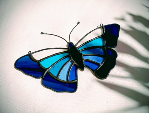 Blue butterfly — foto 3