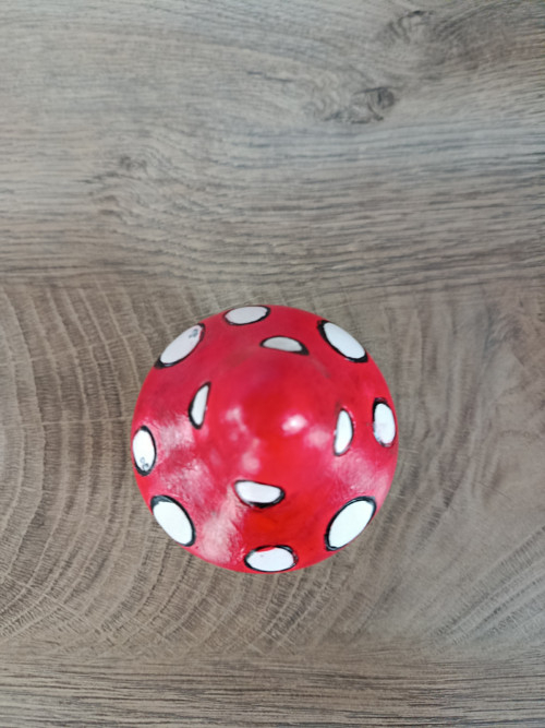 Muchomůrka — foto 4