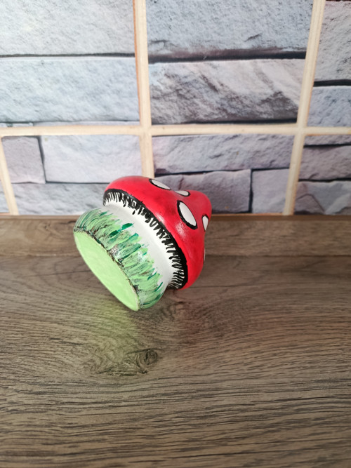 Muchomůrka — foto 3