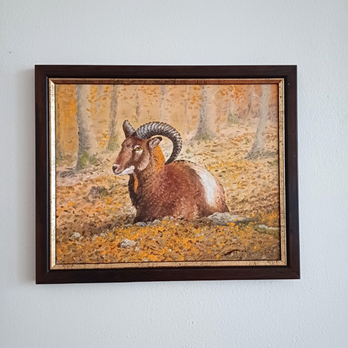 Obraz " Mladý muflon v bukovém lese". — foto 3