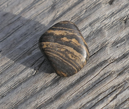 Stromatolit (14 mm) V2151 — foto 4