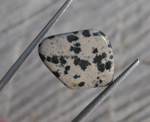 Jaspis dalmatin (18 mm) V2158 — foto 3