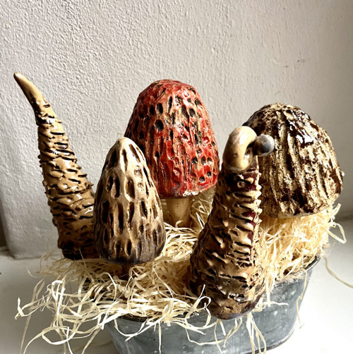 Keramické zápichy — foto 4