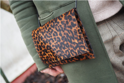 Psaníčko leopard — foto 3