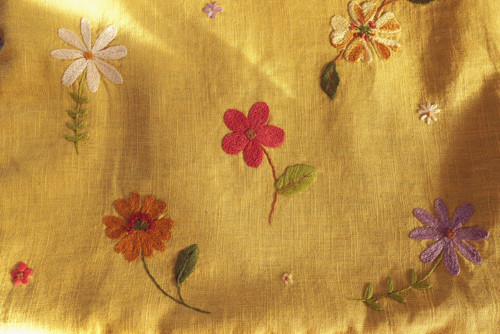 Z louky — foto 6