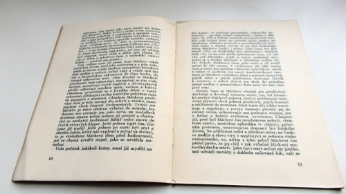 Mácha a Březina — foto 3