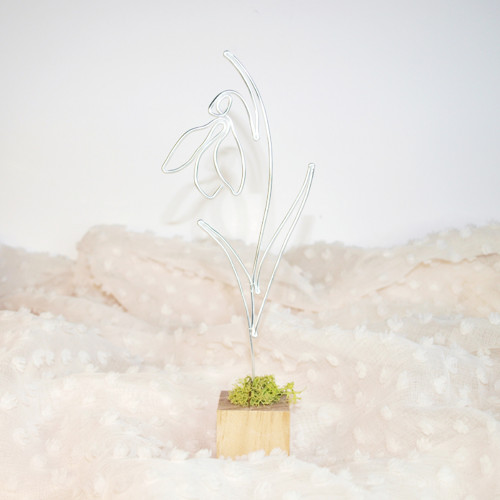 Sněženka Na Dřevěné Kostce — foto 2