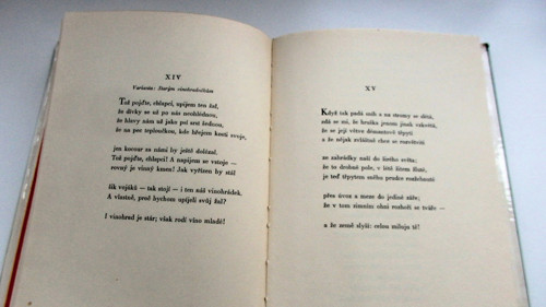 Rozbité zrcadlo — foto 4
