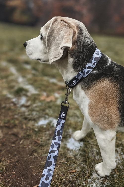 Maskáčový obojek šedý — foto 3