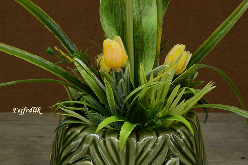 Tulipány jako živý..:) — foto 2