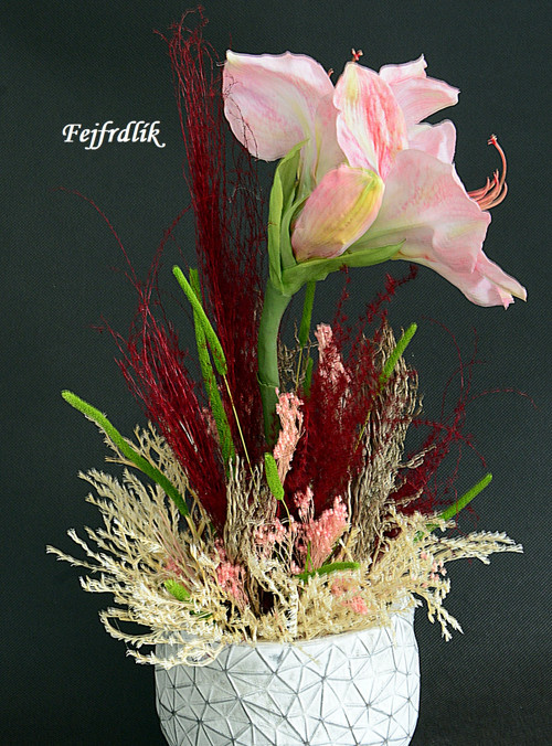 Amaryllis v sušině. — foto 3
