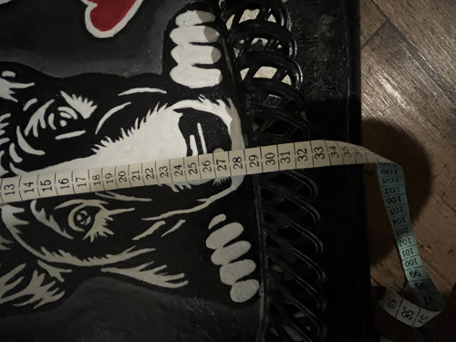 Láska na čtyřech packách – bullteriér — foto 4