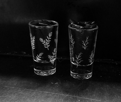 Párty v zahradě — foto 3