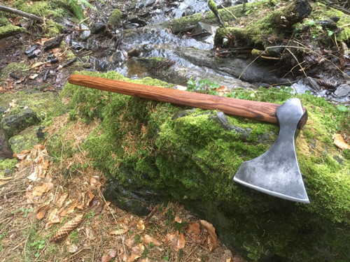 Vikingska sekera bradatice — foto 3