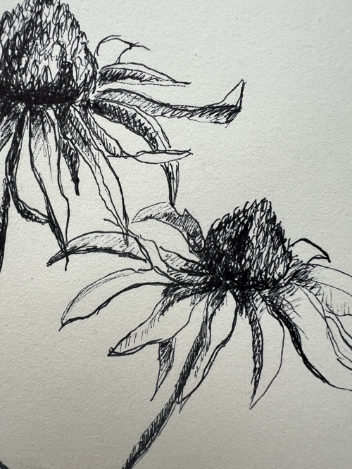 Botanická ilustrace květiny — foto 2