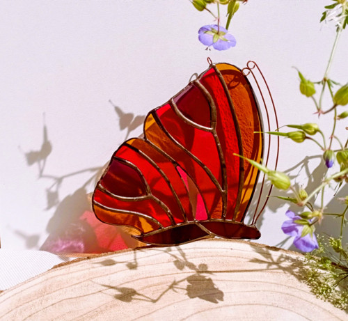 Red butterfly — foto 3