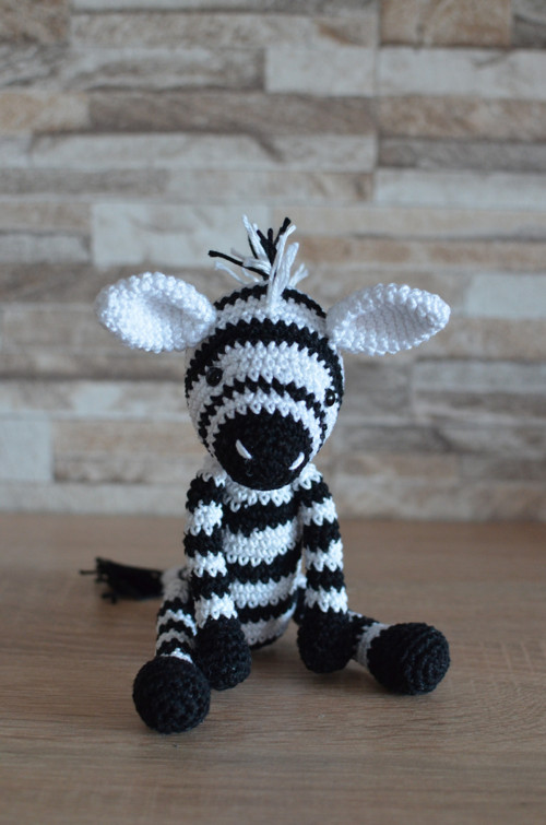 Háčkovaná zebra — foto 2