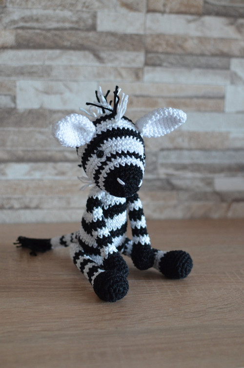 Háčkovaná zebra — foto 3