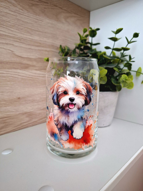Sklenička maltipoo — foto 2