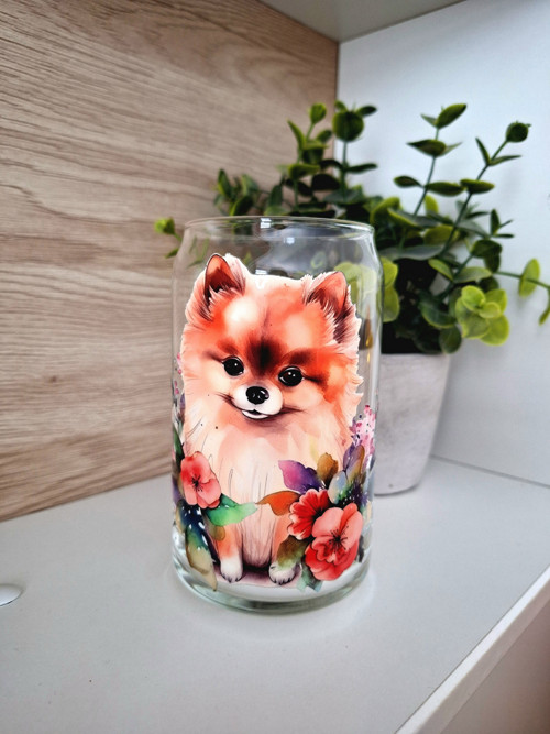 Sklenička pomeranian — foto 2