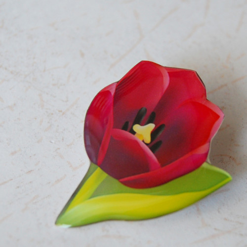 Tulipán — foto 3