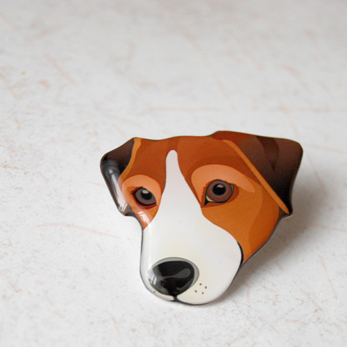 Jack russel — foto 2