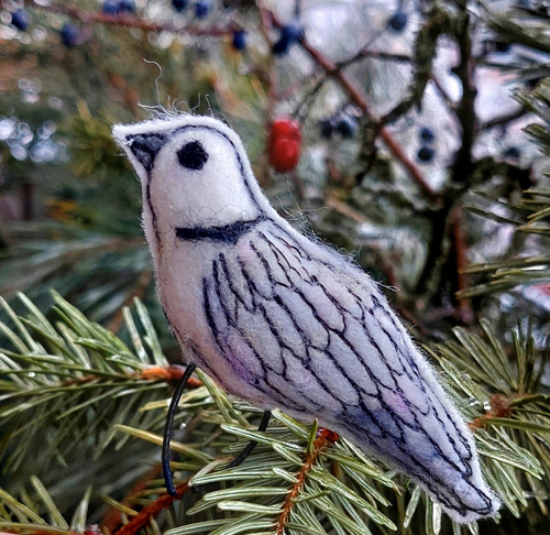 Z ptačí říše - hrdlička — foto 3