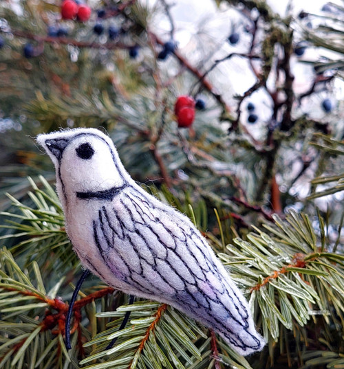 Z ptačí říše - hrdlička — foto 2
