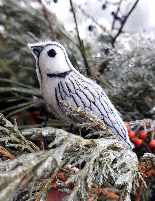 Z ptačí říše - hrdlička — foto 4