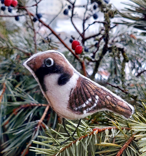 Z ptačí říše - vrabec — foto 2
