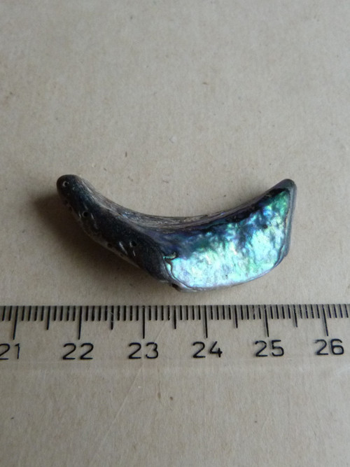 Perleť mušle Paua - 4,1 cm (P1) — foto 4