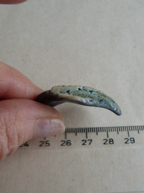 Perleť mušle Paua - 3,8 cm (P3) — foto 5