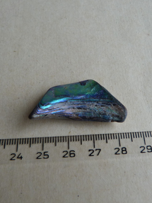 Perleť mušle Paua - 3,9 cm (P4) — foto 4