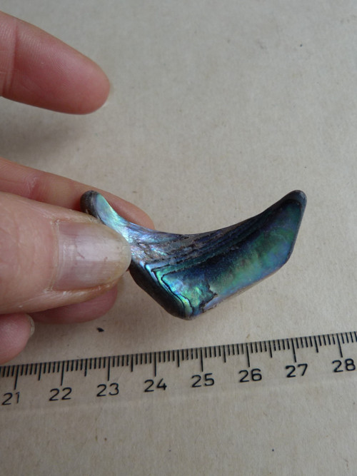 Perleť mušle Paua - 4,2 cm (P5) — foto 3
