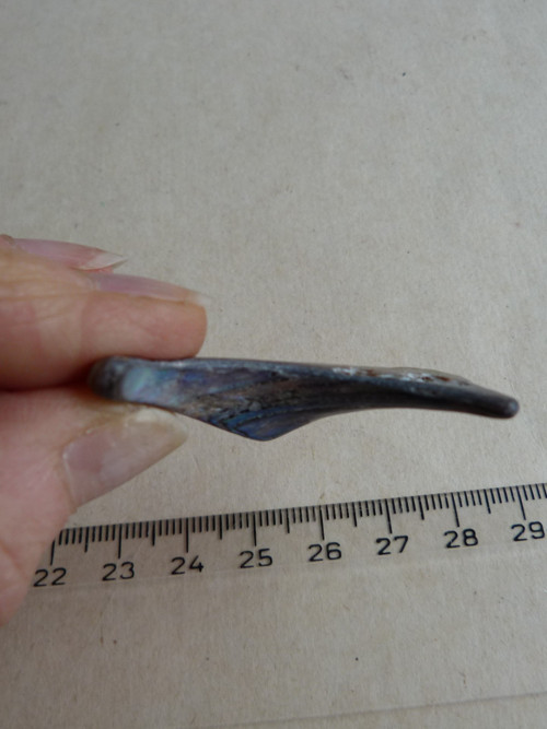 Perleť mušle Paua - 4,2 cm (P5) — foto 5