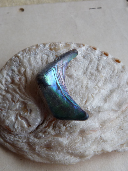 Perleť mušle Paua - 4,2 cm (P5) — foto 4
