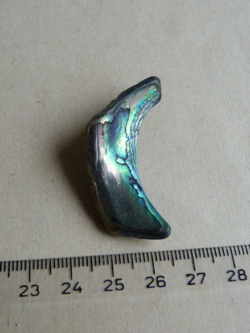 Perleť mušle Paua - 4,3 cm (P6) — foto 4