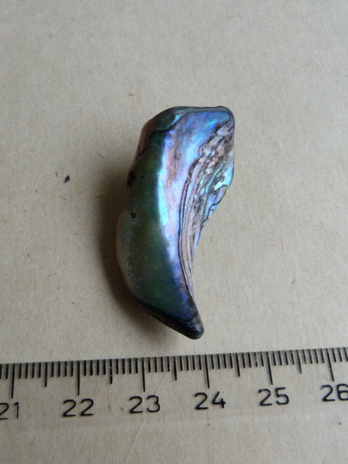 Perleť mušle Paua - 4,1 cm (P7) — foto 4