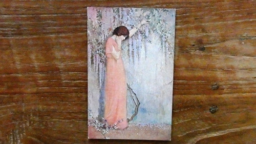 V myšlenkách — foto 2