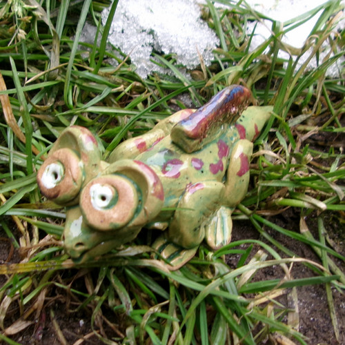 Agama — foto 2