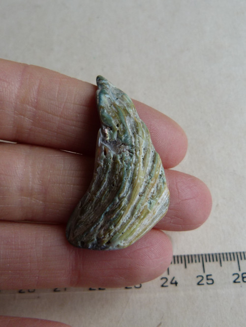Perleť mušle Paua - 4,3 cm (P8) — foto 6