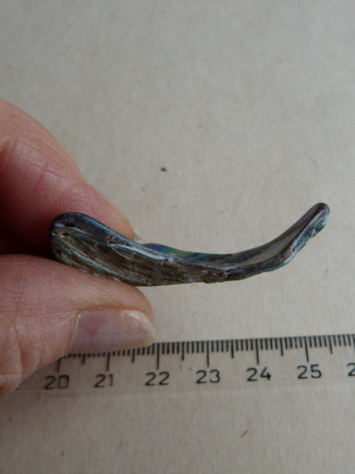 Perleť mušle Paua - 4,3 cm (P8) — foto 5