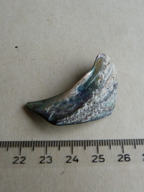 Perleť mušle Paua - 4,2 cm (P9) — foto 6