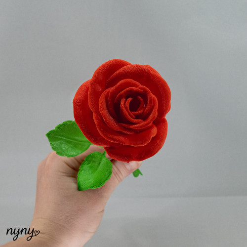 Růžička — foto 2