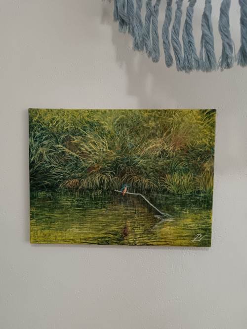 Ledňáček — foto 2