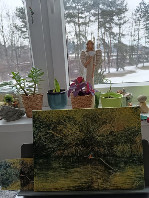 Ledňáček — foto 4